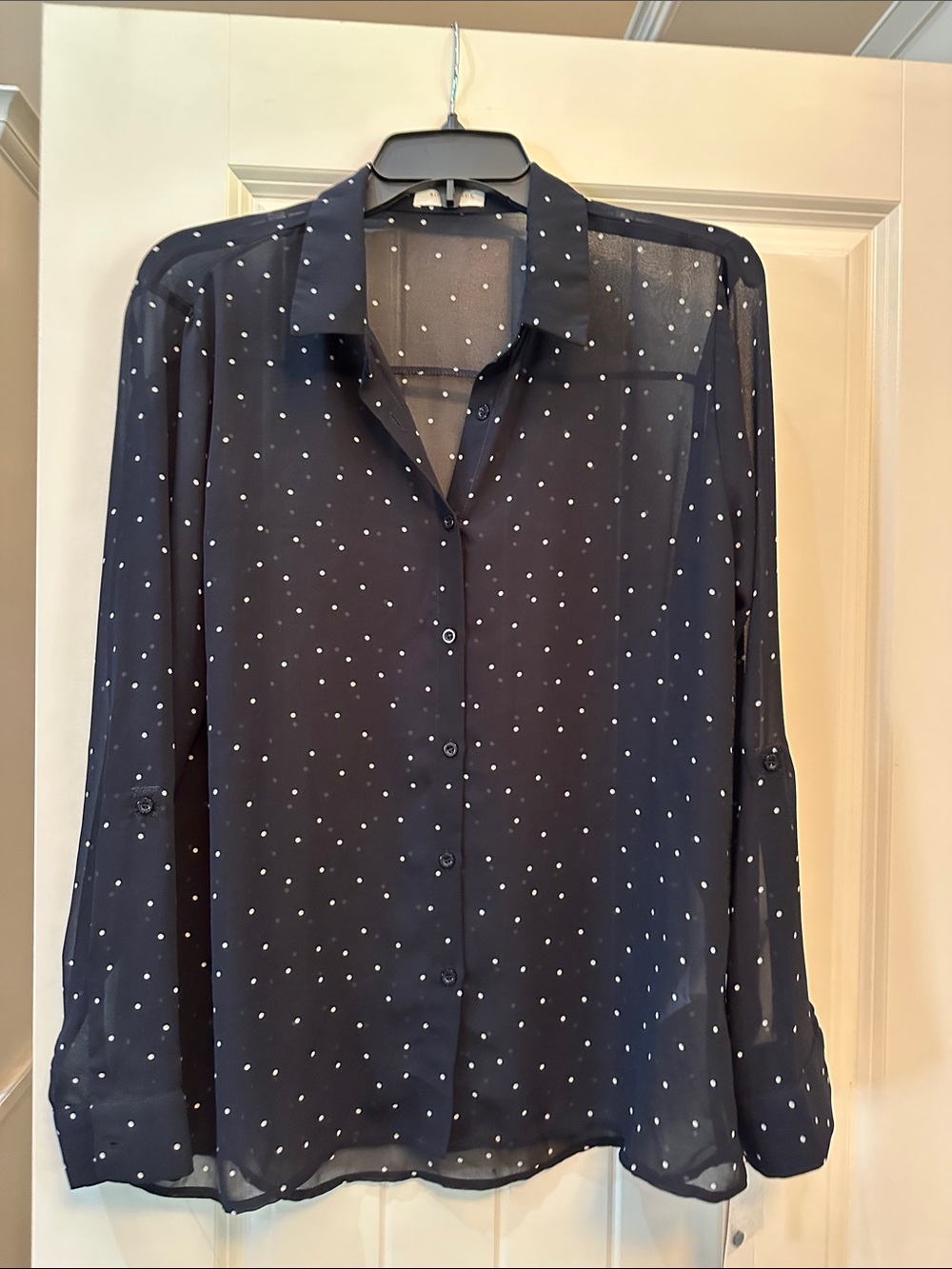 Sophie Rue Navy Polka Dot Sheer Button-Down Shirt